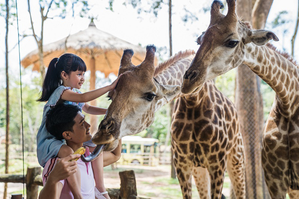 10 trải nghiệm ‘siêu đỉnh’ nhất định phải thử khi đến Phú Quốc-3