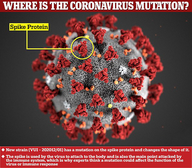 Biến thể mới của virus corona chủng mới đang lây lan quá nhanh-1