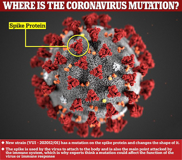 Biến thể mới của virus corona chủng mới đang lây lan quá nhanh-1