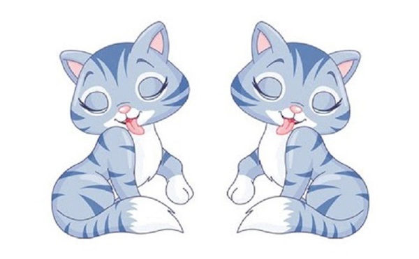 Tử vi người tuổi Mão năm 2021: Hung cát đan xen, biến động không ngừng-1