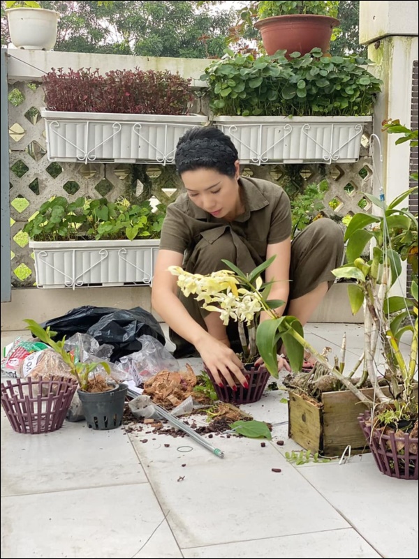 NSƯT Trịnh Kim Chi phụ chồng đại gia làm vườn, hé lộ vườn lan đắt giá trong biệt thự rộng 200m2-3