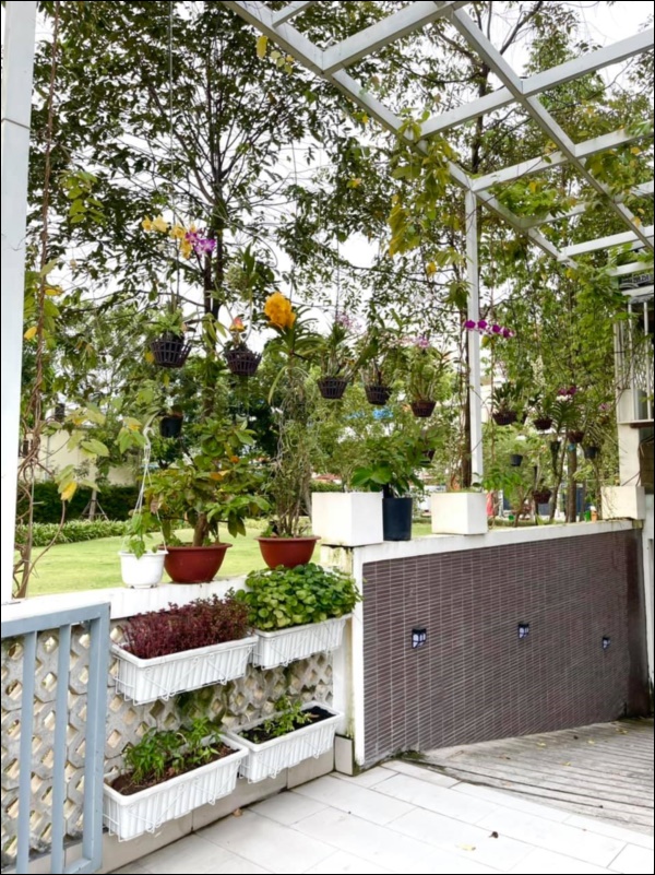 NSƯT Trịnh Kim Chi phụ chồng đại gia làm vườn, hé lộ vườn lan đắt giá trong biệt thự rộng 200m2-8