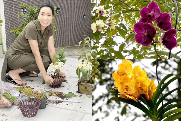 Sao Việt trang hoàng đón Giáng sinh: Đàm Vĩnh Hưng, Ngọc Trinh&nbsp;xa hoa khó ai sánh bằng,&nbsp;nhà Hà Tăng quá đỗi ấm áp,&nbsp;bình yên-19
