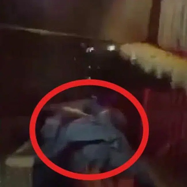 Hàng xóm phát hiện thi thể người phụ nữ tử vong trong nhà sau tiếng cãi vã với con trai 17 tuổi, chân tướng sự việc gây xôn xao-1