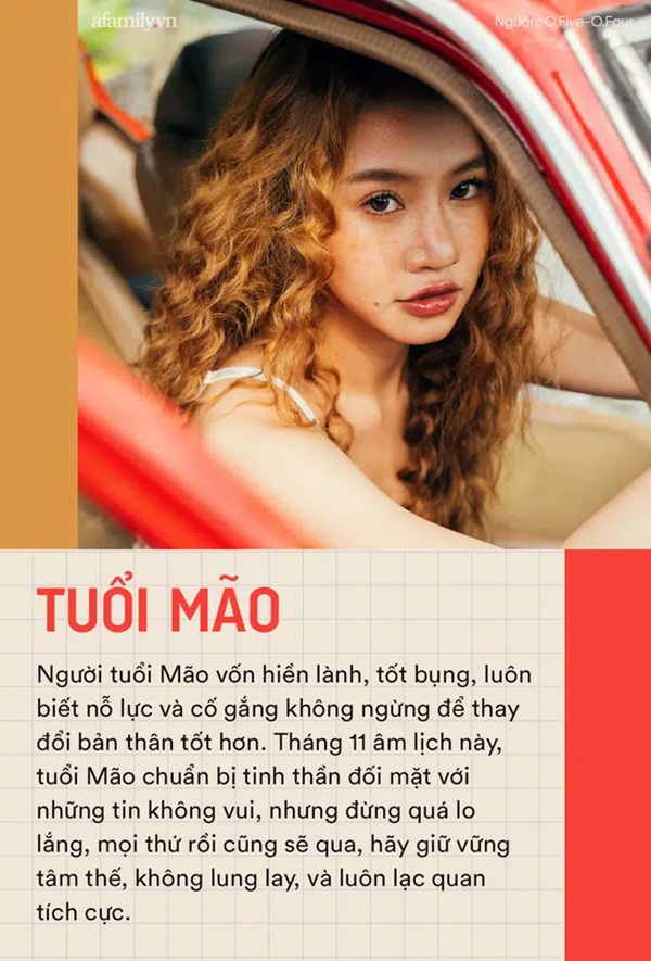 Cuộc sống 12 con giáp trong tháng 11 âm lịch này: Người thăng hoa cả tình lẫn tiền, người tuy khó khăn nhưng phải lạc quan thì thần tài mới lâm môn-4