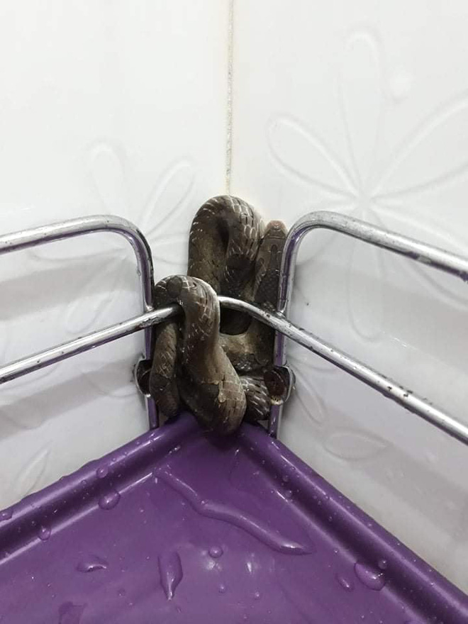 Hình ảnh bé Na cuốn chặt trên kệ xà phòng khiến dân tình giật thót: Trời rét buốt nên ông trời càng cho cớ nghỉ tắm nửa năm?-2