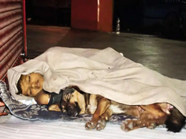 Bức ảnh cậu bé nằm co ro ngoài đường cùng con chó trong chiếc chăn mỏng manh lấy nước mắt cộng đồng mạng và cái kết đầy bất ngờ-1