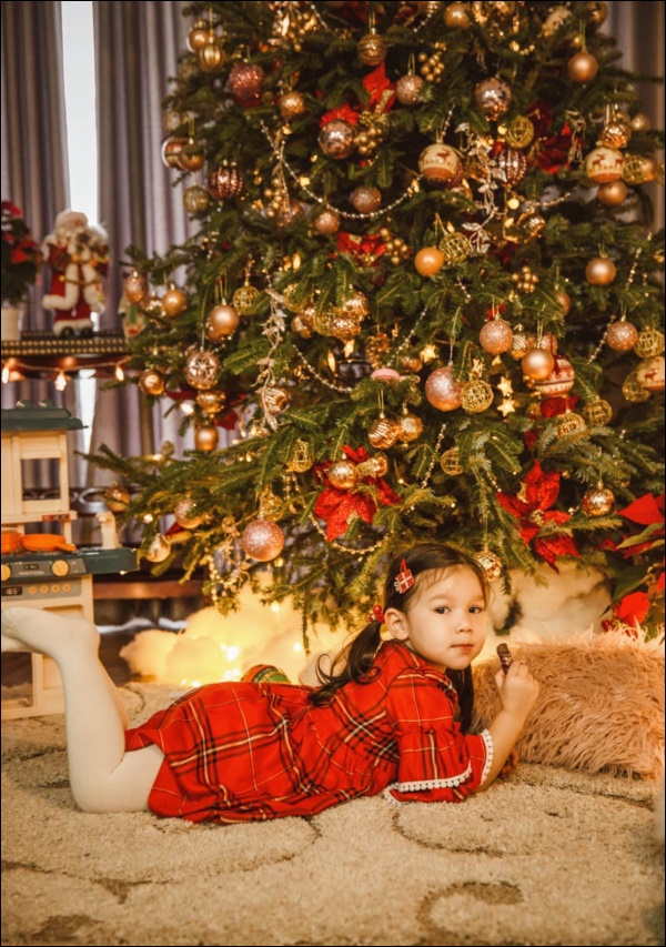 Sao Việt trang hoàng đón Giáng sinh: Đàm Vĩnh Hưng, Ngọc Trinh&nbsp;xa hoa khó ai sánh bằng,&nbsp;nhà Hà Tăng quá đỗi ấm áp,&nbsp;bình yên-18