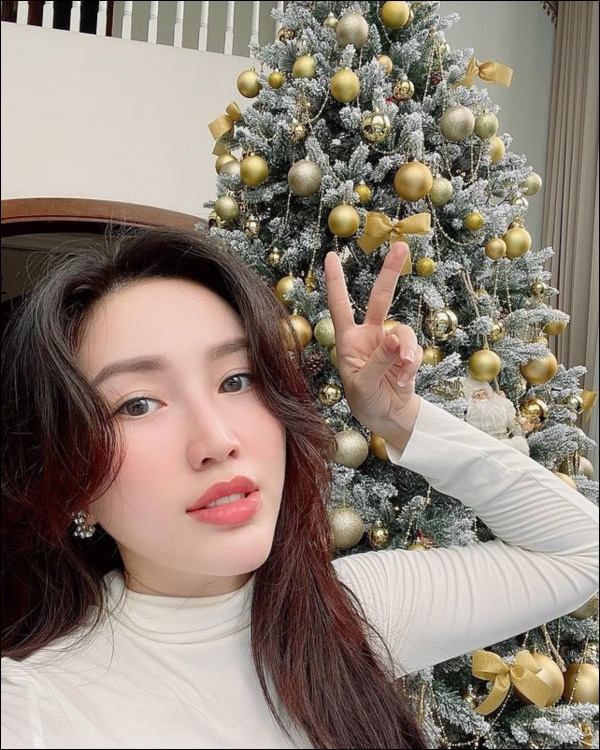 Sao Việt trang hoàng đón Giáng sinh: Đàm Vĩnh Hưng, Ngọc Trinh&nbsp;xa hoa khó ai sánh bằng,&nbsp;nhà Hà Tăng quá đỗi ấm áp,&nbsp;bình yên-13