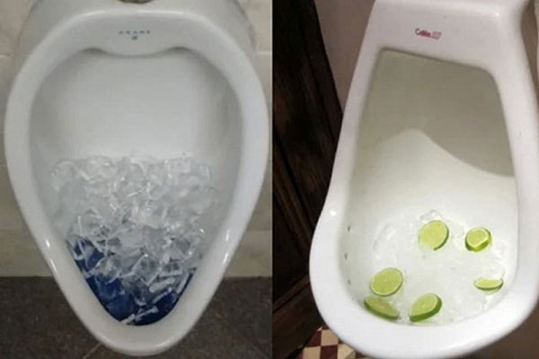 Tại sao các nhà hàng thường đổ các viên đá lạnh vào bồn cầu?-1