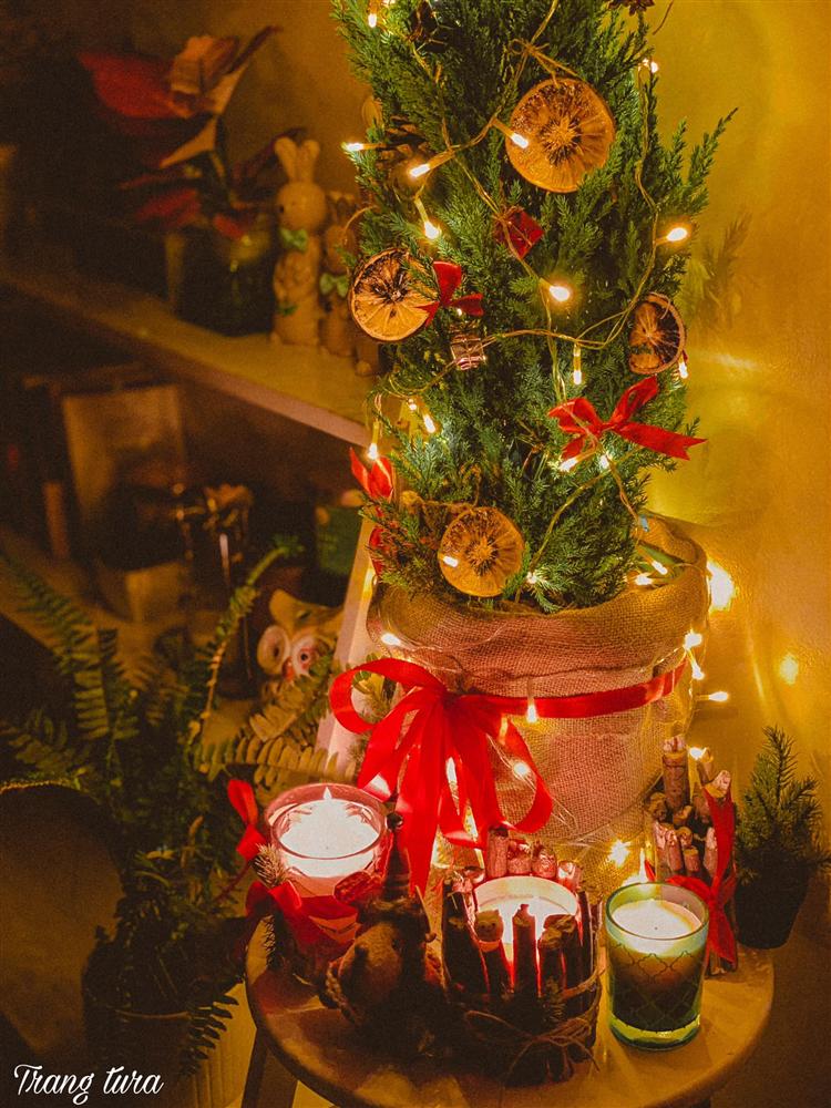 Làm trái cây sấy bằng nồi chiên không dầu siêu tiện, hội chị em dùng làm nước detox, uống trà và lại có thêm đồ decor cây thông Noel-8