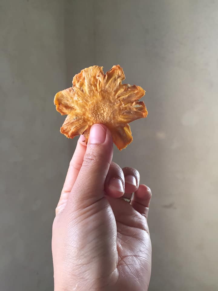 Làm trái cây sấy bằng nồi chiên không dầu siêu tiện, hội chị em dùng làm nước detox, uống trà và lại có thêm đồ decor cây thông Noel-18