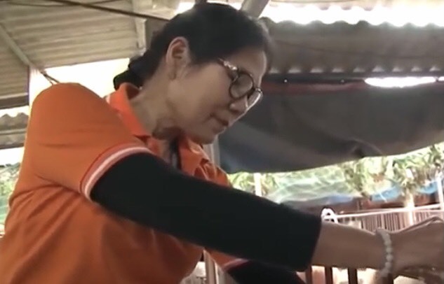 Nuôi lợn hoàng gia nghe nhạc Pháp, ngắm hoa hồng, lợi nhuận hàng trăm triệu mỗi năm-1