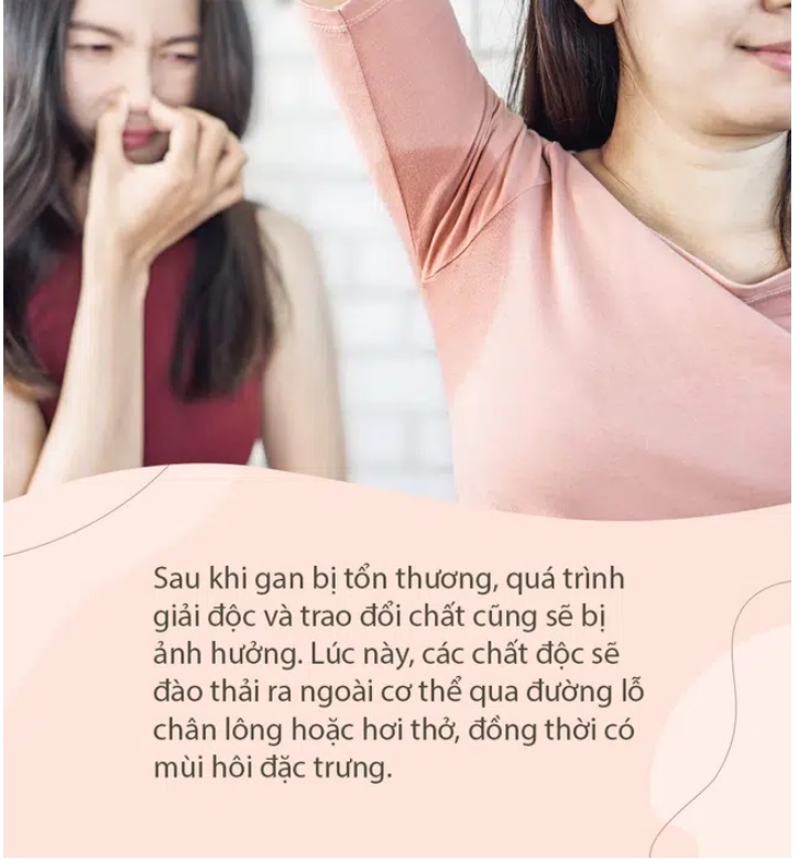Khi gan bị tổn thương, 3 bộ phận trên cơ thể này sẽ bốc mùi, 2 bộ phận bị đau, cần đặc biệt lưu ý-1