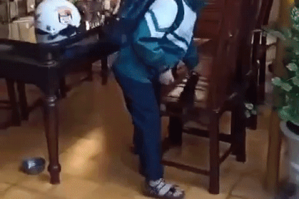 Clip đãng trí hài nhất năm: Đến giờ đi học, cậu bé hốt hoảng tìm cặp sách dù đang đeo trên vai khiến ai xem cũng phải ôm bụng cười