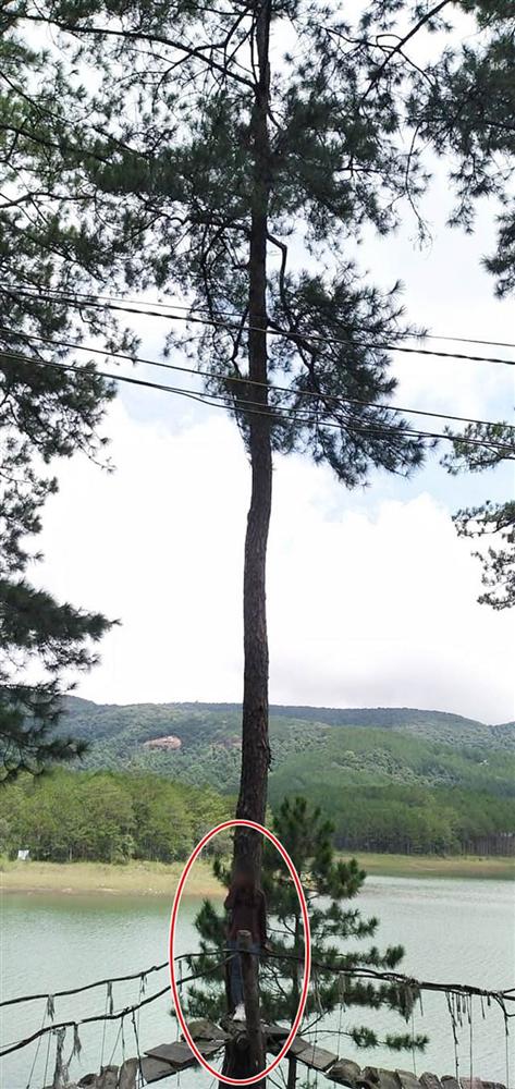 Đi Đà Lạt hăm hở chụp ảnh cho bạn gái, chàng trai bị giận cả tháng vì chụp xong cô người yêu bỗng tàng hình không vết tích-2
