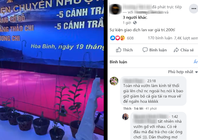 Dậy sóng với màn giao dịch dàn hoa lan đột biến trị giá 200 tỷ-2