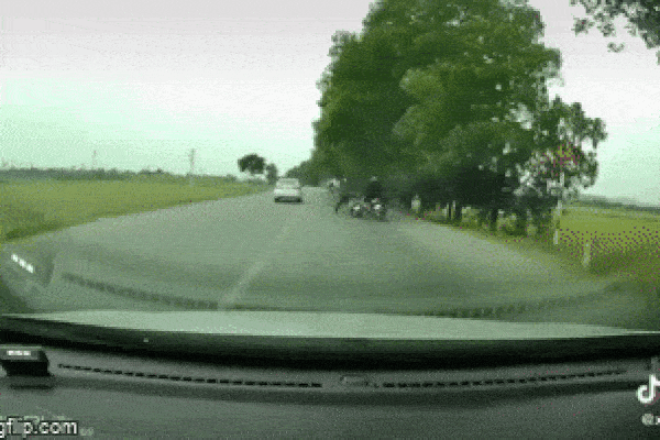 Lồng chim không cánh mà bay, camera bóc diễn biến hy hữu liên quan đến chiếc xe tải-1