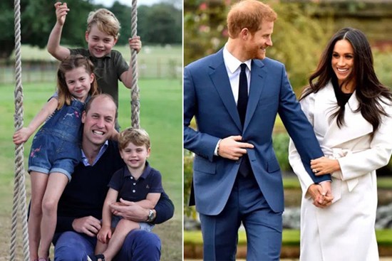 Nhìn lại năm 2020 của Hoàng gia Anh qua 9 bức ảnh được nhiều 