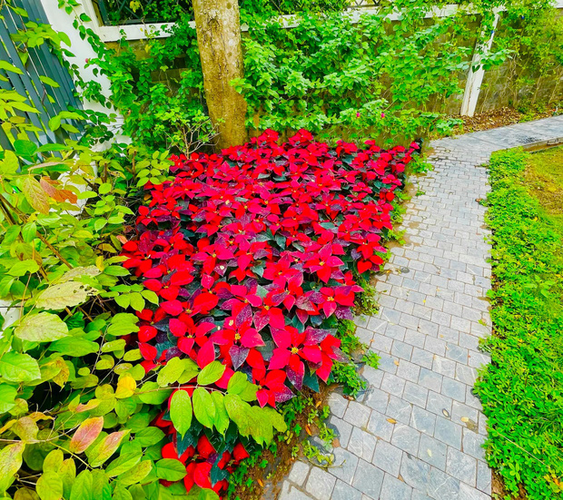 Biệt thự ven sông của Lã Thanh Huyền mùa Noel: Sang chảnh đẳng cấp 5 sao, ngắm góc nào cũng đẹp muốn xỉu-12