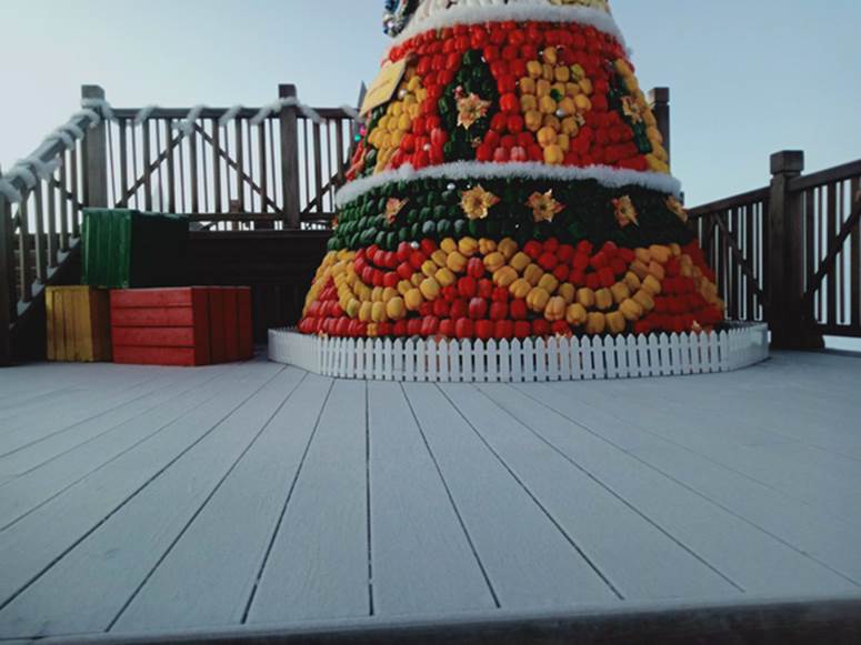 Lạnh -9 độ C, đỉnh Fansipan xuất hiện băng giá khiến nhiều du khách xuýt xoa: Không uổng công bắt chuyến cáp đầu tiên để chiêm ngưỡng-2