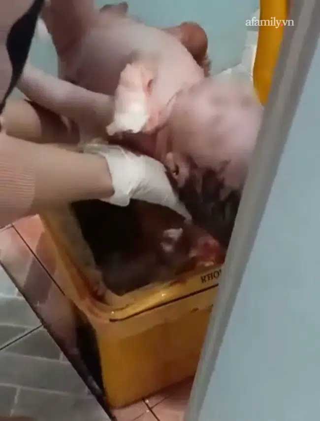 Lời khai người mẹ 18 tuổi đẻ rơi trong nhà vệ sinh bệnh viện: Không biết mình có thai, vứt con vào thùng rác vì... hoảng?-2