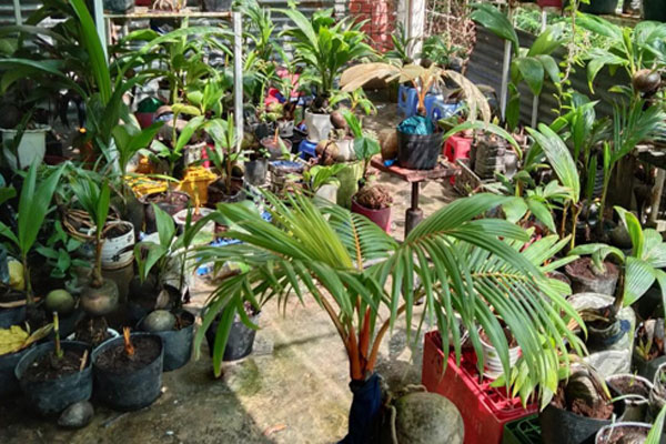 Đem đất sét về nặn chơi, quyết không bán dù khách đòi mua-11