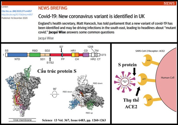 Biến chủng mới nhất của SARS-CoV-2: Tốc độ lây khủng khiếp, vaccine vừa ra lò có diệt được không?-1