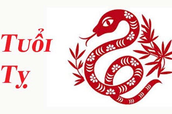 Tử vi người tuổi Tỵ năm 2021: Sự nghiệp hanh thông, tình yêu suôn sẻ