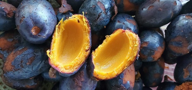 Thứ quả đen sì, trước rụng đầy đồi thành đặc sản gây nghiện được chị em săn lùng-3