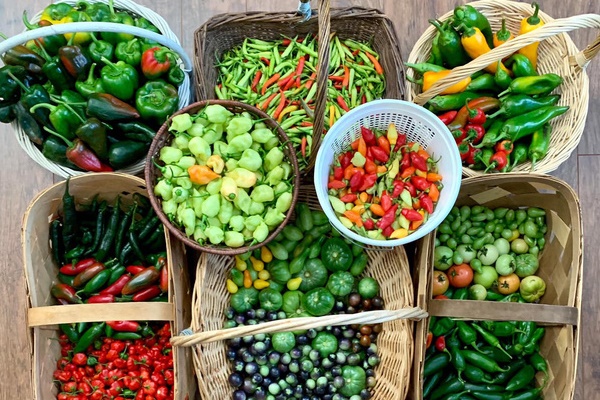 Vườn hoa 200m2 trên sân thượng, đẹp như tiên cảnh của mẹ đảm Hà thành-15