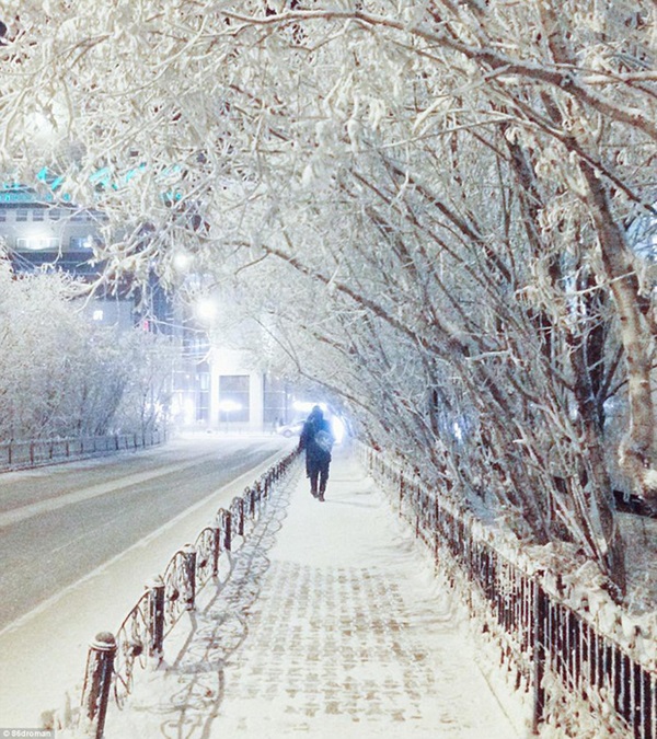 Bức ảnh cá cứng đơ xếp từng chồng bày bán ở chợ gây ngạc nhiên tột độ và sự thật về thành phố lạnh nhất thế giới, đóng băng cả lông mi và tóc-11