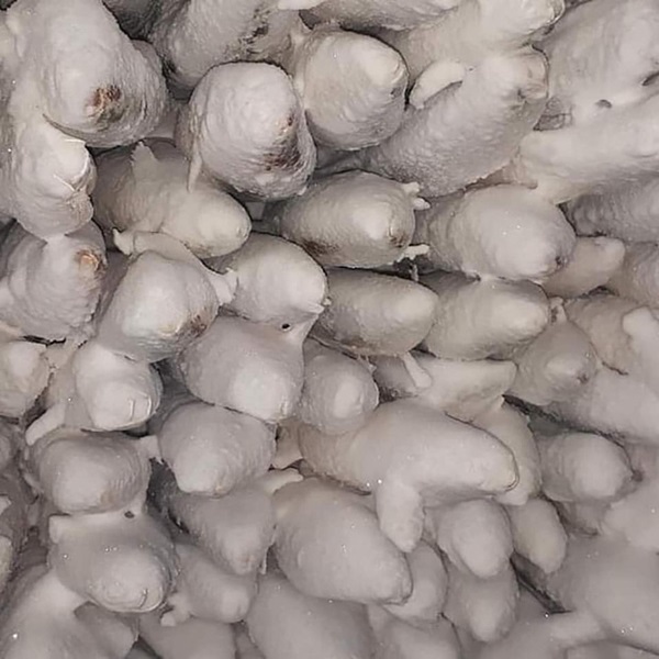 Bức ảnh cá cứng đơ xếp từng chồng bày bán ở chợ gây ngạc nhiên tột độ và sự thật về thành phố lạnh nhất thế giới, đóng băng cả lông mi và tóc-8