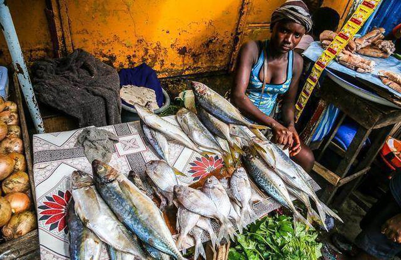 Ghé khu chợ này bạn mua được hải sản kích thước khủng rẻ hơn rau, tôm hùm siêu to khổng lồ về tay chỉ 100 nghìn/kg-3