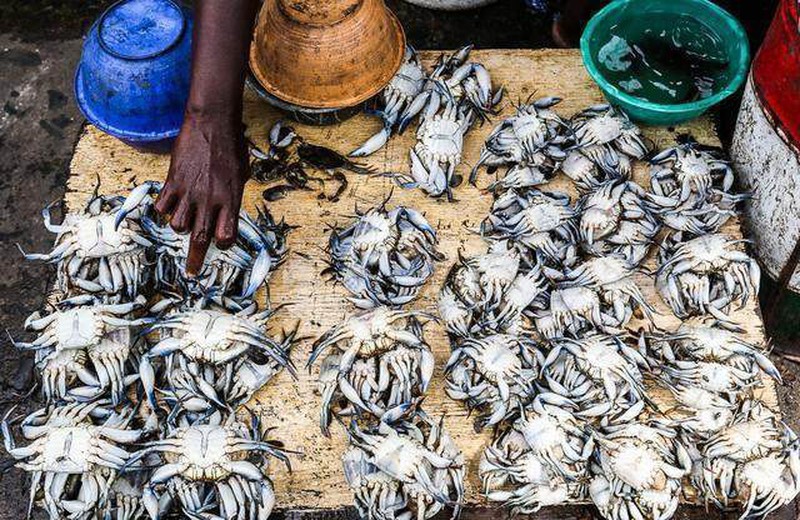 Ghé khu chợ này bạn mua được hải sản kích thước khủng rẻ hơn rau, tôm hùm siêu to khổng lồ về tay chỉ 100 nghìn/kg-6