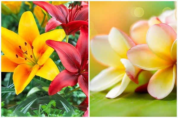 Huyền Baby khoe căn biệt thự xa hoa gần trăm tỷ sắp hoàn thiện, hé lộ một góc phòng thay đồ hoành tráng như showroom đồ hiệu-14