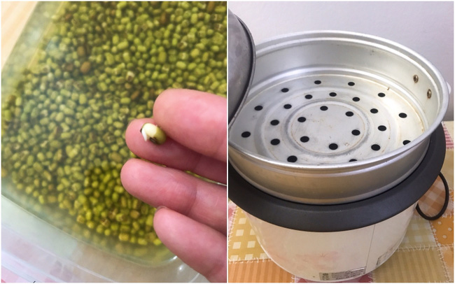 Cách làm giá đỗ cực đơn giản đảm bảo thành công 100%-2