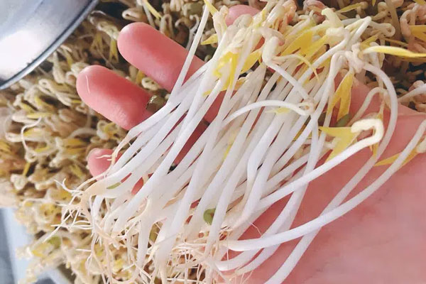 Kiên trì uống loại nước này hàng tuần, chẳng mấy chốc chị em sẽ sở hữu làn da em bé cùng cơ thể quyến rũ khiến các đấng lang quân không thể rời mắt!-6