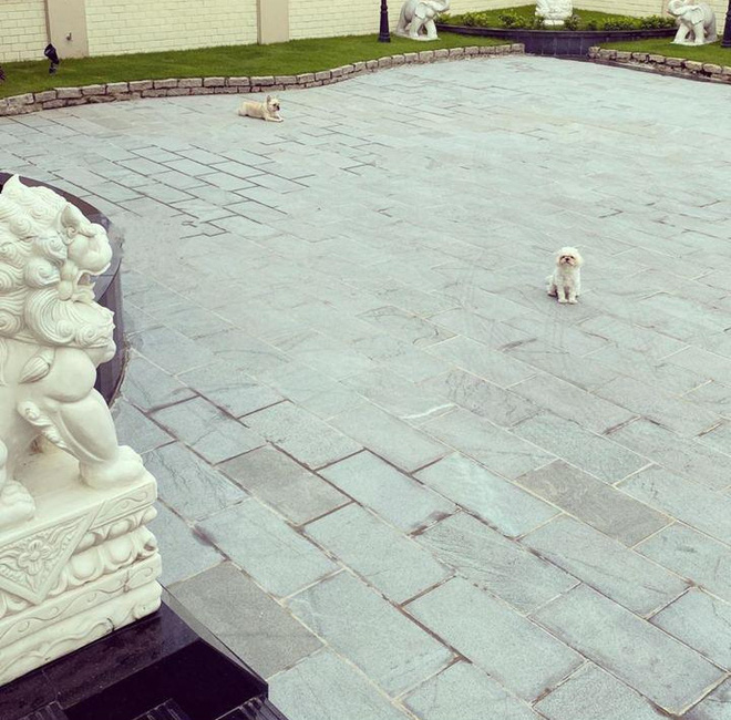 Phillip Nguyễn và Linh Rin khoe cây thông Giáng sinh chạm nóc, để lộ không gian xa hoa bên trong căn biệt thự-4