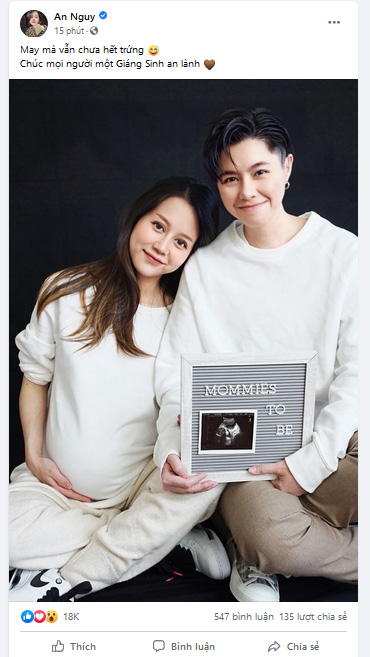 Vlogger An Nguy bất ngờ đăng ảnh bầu bí bên người yêu đồng giới-1