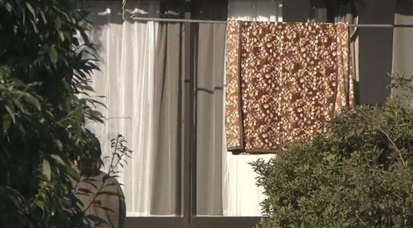 Nhật Bản chính thức khởi tố vụ một phụ nữ Việt Nam dùng băng dính dán miệng, giết chết con vừa mới sinh rồi chôn sau vườn-1