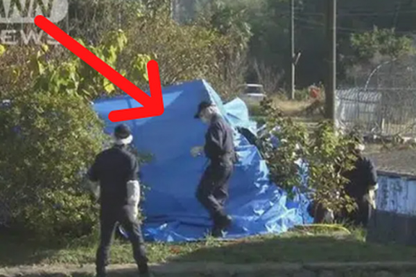 Truyền thuyết đô thị Nhật Bản: Người đàn bà đeo khẩu trang ám ảnh trẻ con với câu hỏi Ta có đẹp không? và câu trả lời định đoạt số phận nạn nhân-5