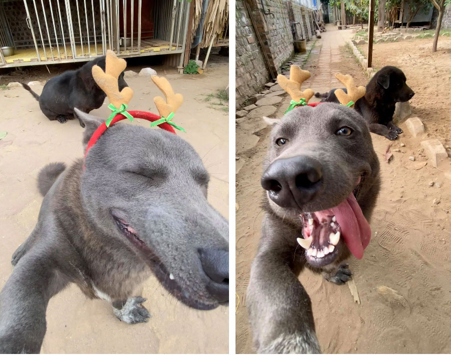 Tự sướng với hội bạn thân dịp Noel, idol Nguyễn Văn Dúi phô diễn bộ mặt nhăn nhở nhìn chỉ muốn đấm, đúng là đại boss đã lớn nhưng tâm hồn vẫn rất trẻ thơ!-2