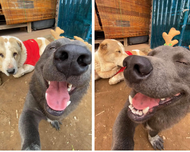 Tự sướng với hội bạn thân dịp Noel, idol Nguyễn Văn Dúi phô diễn bộ mặt nhăn nhở nhìn chỉ muốn đấm, đúng là đại boss đã lớn nhưng tâm hồn vẫn rất trẻ thơ!-5