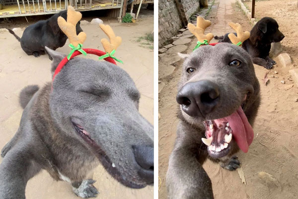 Idol Nguyễn Văn Dúi nay đã khác, thay đổi hình tượng thần thái trong mắt các fan nhưng chỉ khiến dân mạng nhìn ra một yang hồ-7