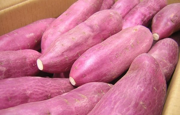 Hấp khoai lang bằng nước nóng hay nước lạnh mới ngon?-2