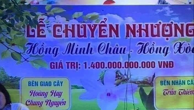 Những vụ mua bán lạ nhất Việt Nam 2020: Ngã ngửa với ngọn cây được bán với giá 28 tỷ đồng, bịch bánh tráng trộn 23 triệu-1