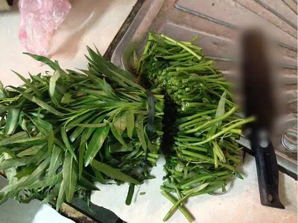 Thẳng tay chặt mớ rau một đường nhanh gọn, cô gái bị mẹ chồng tương lai kiên quyết không bao giờ chấp nhận-1