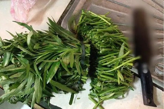 'Thẳng tay' chặt mớ rau một đường nhanh gọn, cô gái bị mẹ chồng tương lai kiên quyết 'không bao giờ chấp nhận'