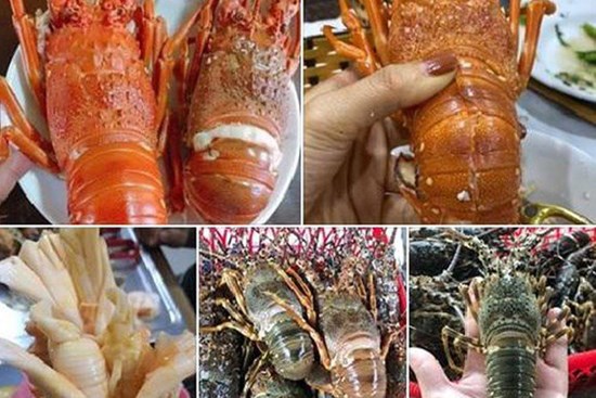 2020: Năm hải sản 